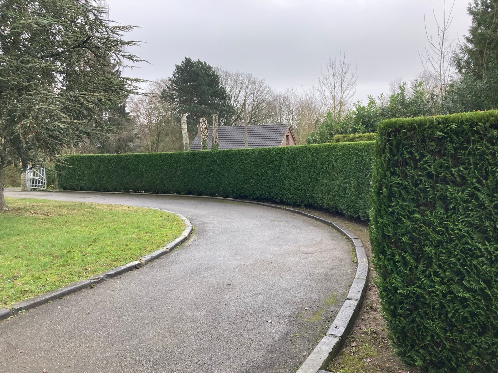 Plantation de haies Namur sud