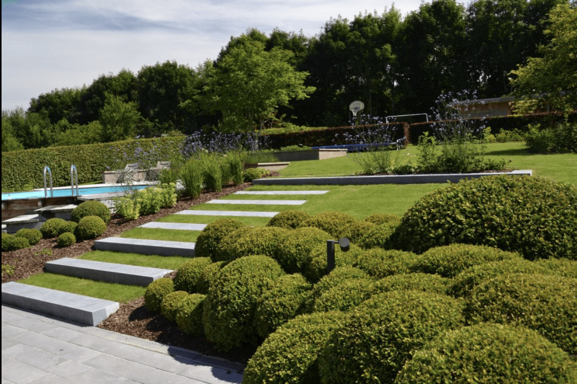 Jardin avec buis taillés, escaliers et piscine — création jardin Namur sud